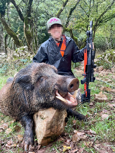 Wild Boar Trophy Hunting in France — Old Keilers on a Private Estate - Image 11